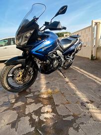 suzuki v strom 1000