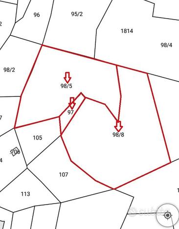 Terreno con piante di castagno e noce