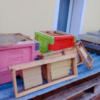 Arnie di fecondazione