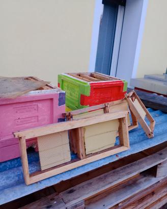 Arnie di fecondazione