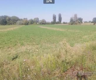 Terreno agricolo