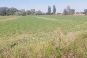 Terreno agricolo
