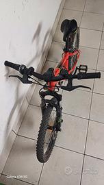 bicicletta bambino
