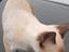 Immagine 3