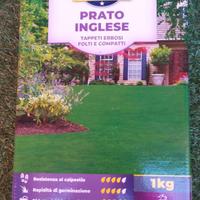 Due CONFEZIONE DI SEMI DI PRATO INGLESE