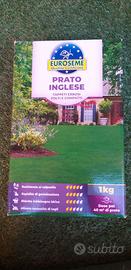 Due CONFEZIONE DI SEMI DI PRATO INGLESE