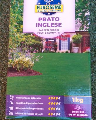 Due CONFEZIONE DI SEMI DI PRATO INGLESE
