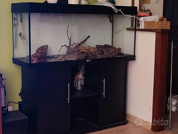 Acquario juwel 260l con supporto