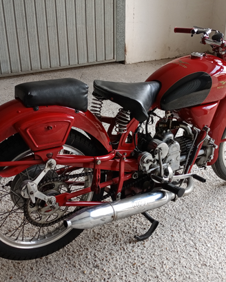 Airone sport 250