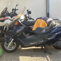 Majesty 250