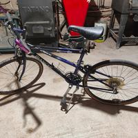 Mountain bike Bianchi ragno 26