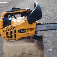 motosega da potatura 