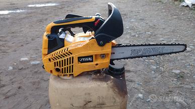 motosega da potatura 