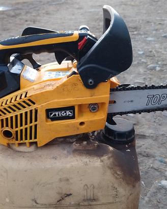 motosega da potatura 