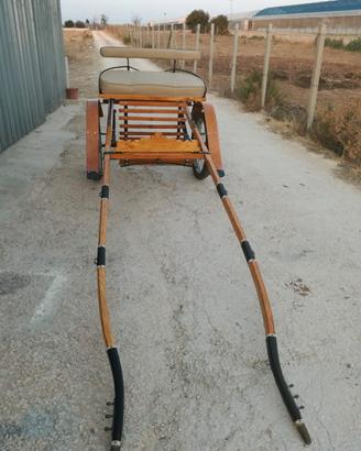 calesse per cavallo