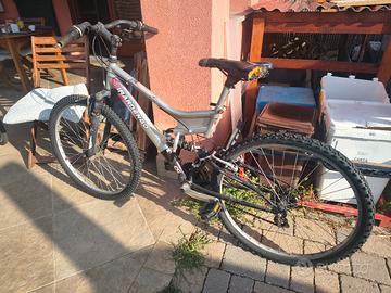 bicicletta 