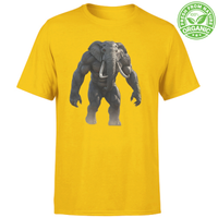 Fitness T-shirts  4 X 3 special offer