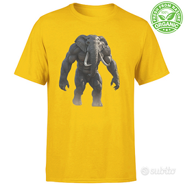 Fitness T-shirts  4 X 3 special offer