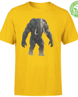 Fitness T-shirts  4 X 3 special offer