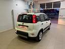 fiat-panda-1-0-firefly-s-s-hybrid-red