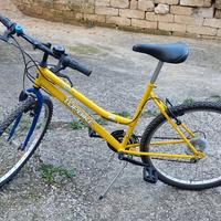 bicicletta mountain bike