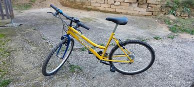 bicicletta mountain bike