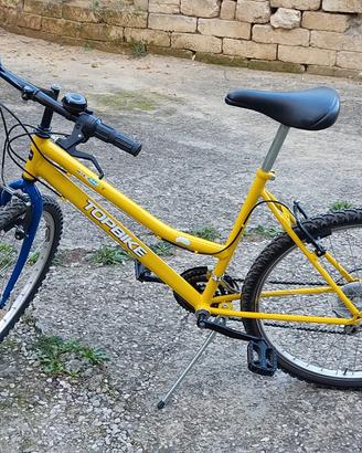 bicicletta mountain bike