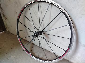 Ruota Campagnolo Shamal