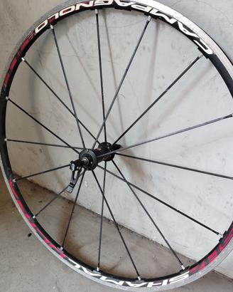 Ruota Campagnolo Shamal