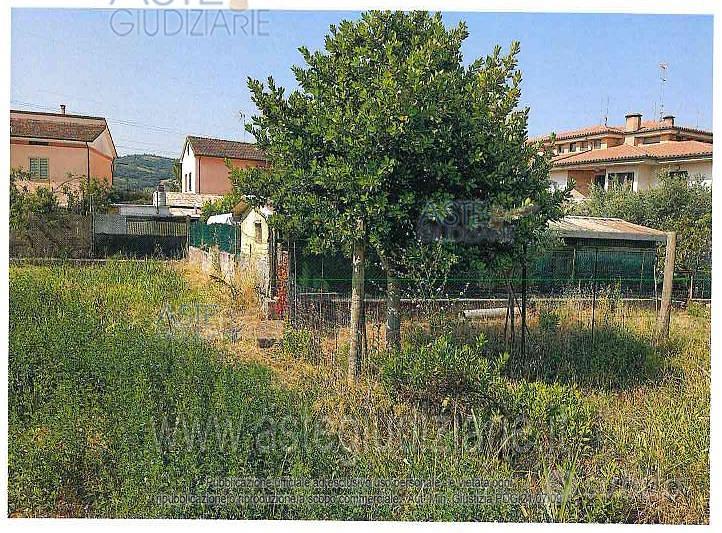 Terreno Agricolo Maiolati Spontini [A4352819] - Vista 3