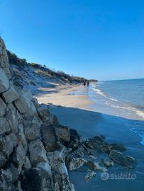 1/31 agosto anche sett.le Serra alimini 2 Sul mare