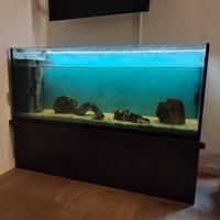 Acquario artigianale 450litri