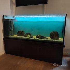 Acquario artigianale 450litri