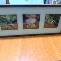 Quadro ikea