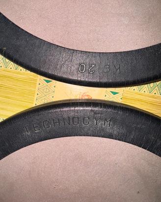 Pesi palestra Technogym