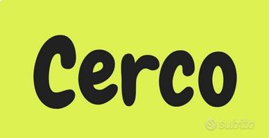 DAIWA AMORPHOUS  BI , ultimo modello 8MT