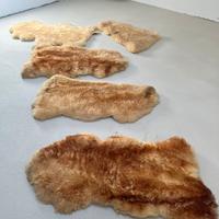 Tappeti in vera pelle montone/pecora naturale