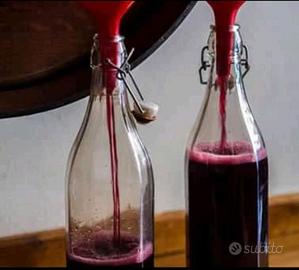 VINO CASARECCIO con consegna a domicilio