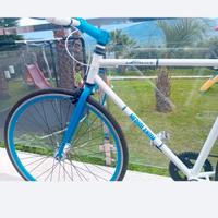 bicicletta limited edition banca Mediolanum