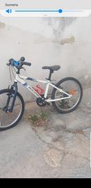 mountain-bike 