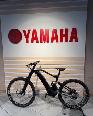 e bike fantic misura l