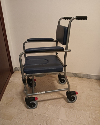Sedia a rotelle