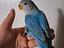 Immagine 2