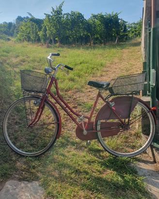 bicicletta da donna doniselli-holland
