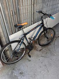 Bici Mtb lombardo