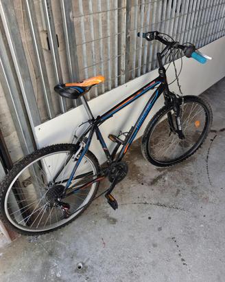 Bici Mtb lombardo