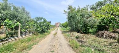 TER. AGRICOLO A CATANZARO