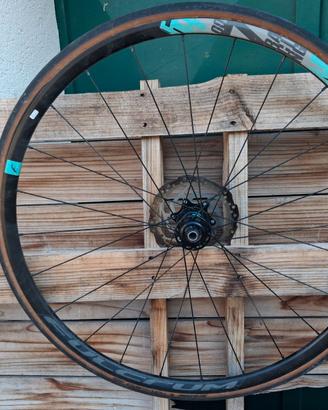 Ruote fulcrum