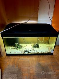 Acquario Tetra 40 Litri completo