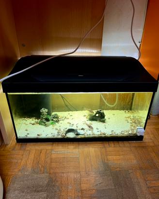 Acquario Tetra 40 Litri completo